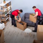 fantastic movers colorado