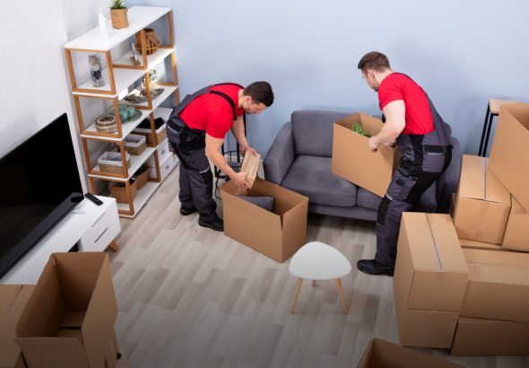 fantastic movers colorado
