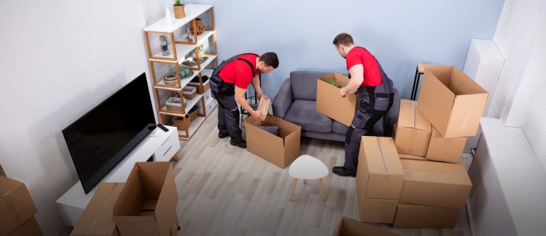 fantastic movers colorado